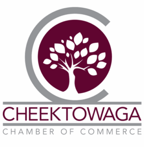 security systems near me buffalo cheektowaga